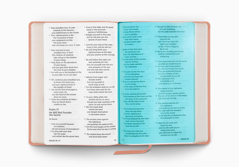 ESV Holy Bible: Dyslexia-Friendly Edition, TruTone, Blush Rose, Fleur-de-lis Design