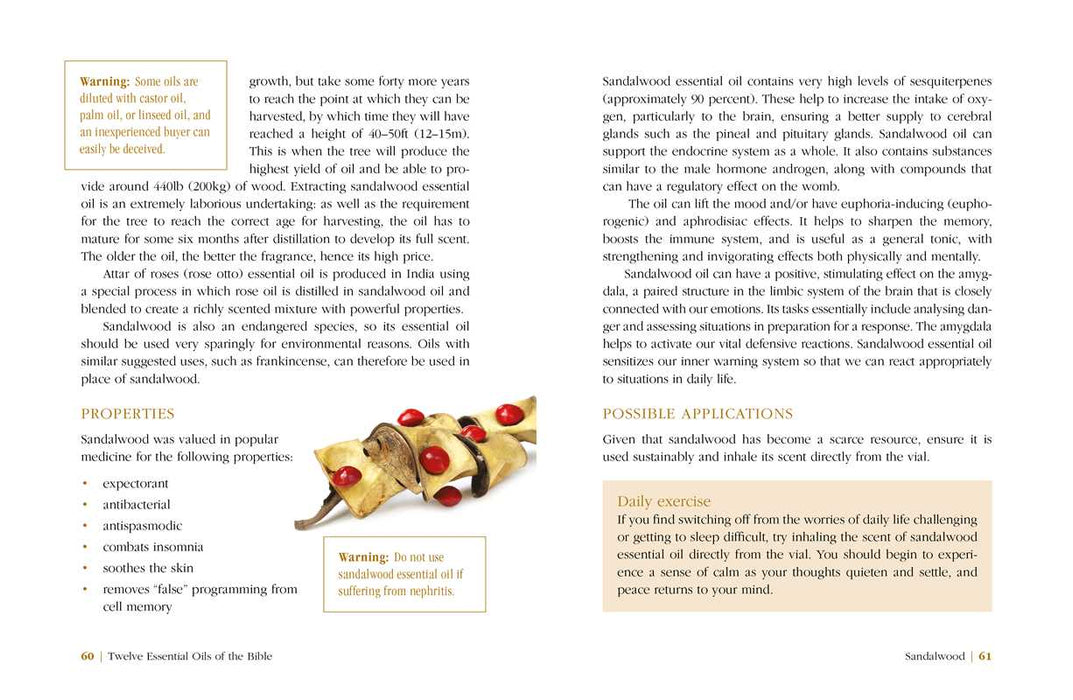 Twelve Essential Oils of the Bible - Karin Opitz-Kreher