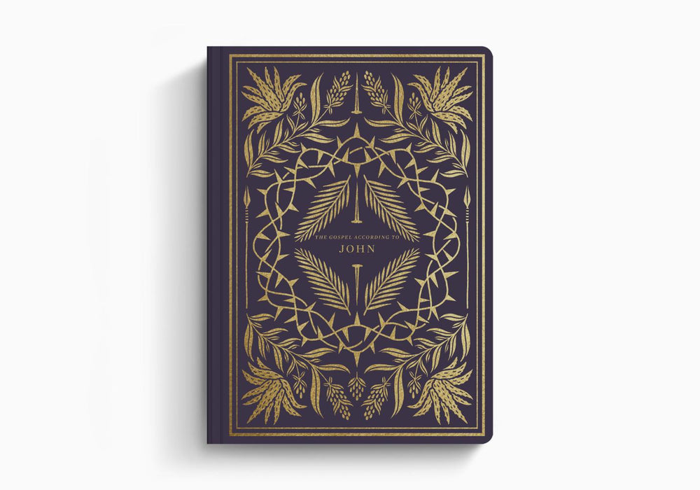 ESV Illuminated Scripture Journal: John