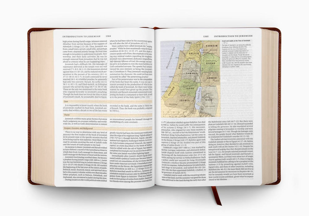 ESV Study Bible TruTone Walnut Celtic Imprint