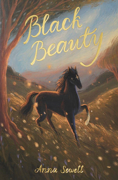 Black Beauty | Exclusive Editions | Wordsworth Book - Morning Star Christian Bookstores