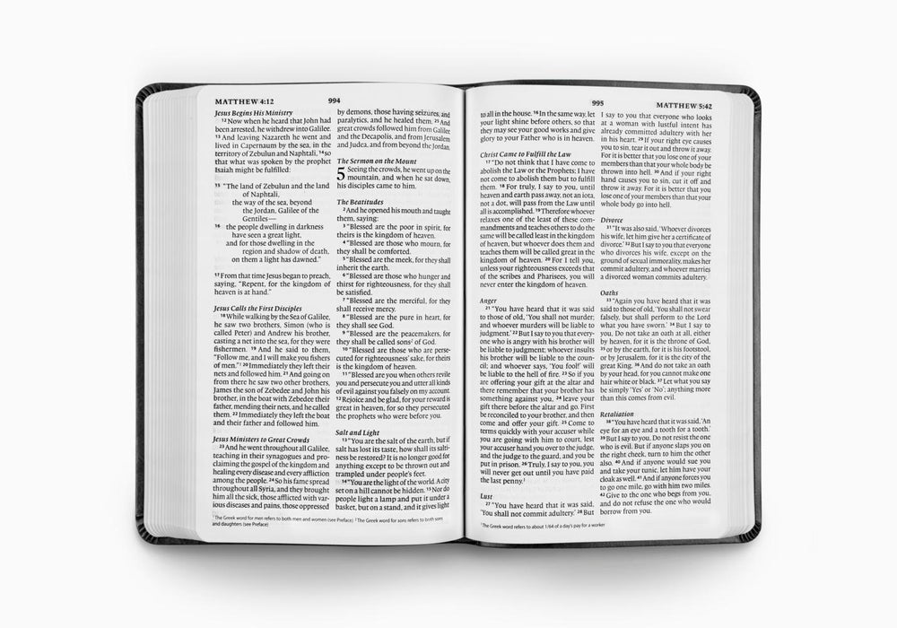 ESV Large Print Value Thinline Bible, TruTone Black