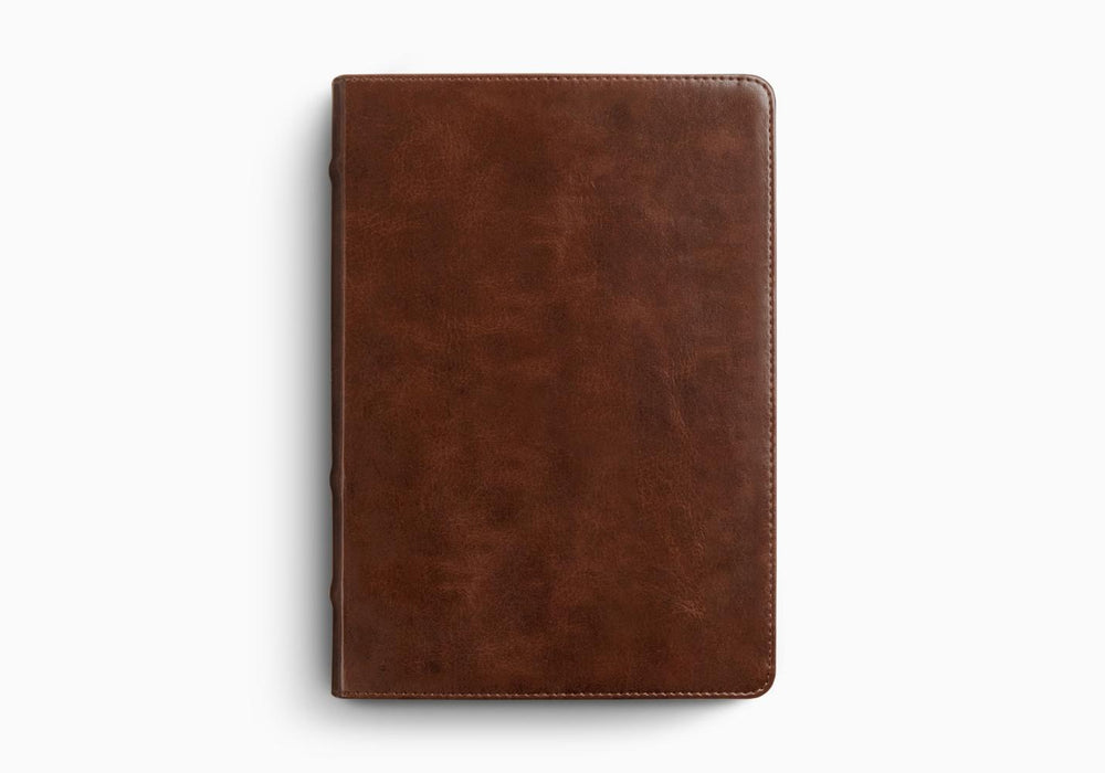 ESV Applying the Gospel Study Bible for Men, TruTone®, Brown