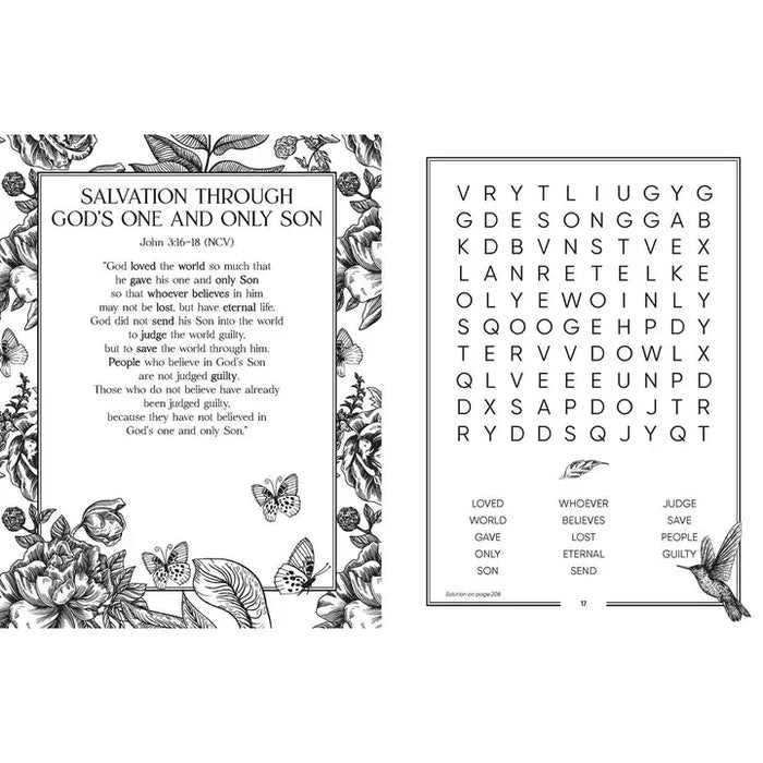 Amen Puzzles Bible Word Search by Jacqui Boone