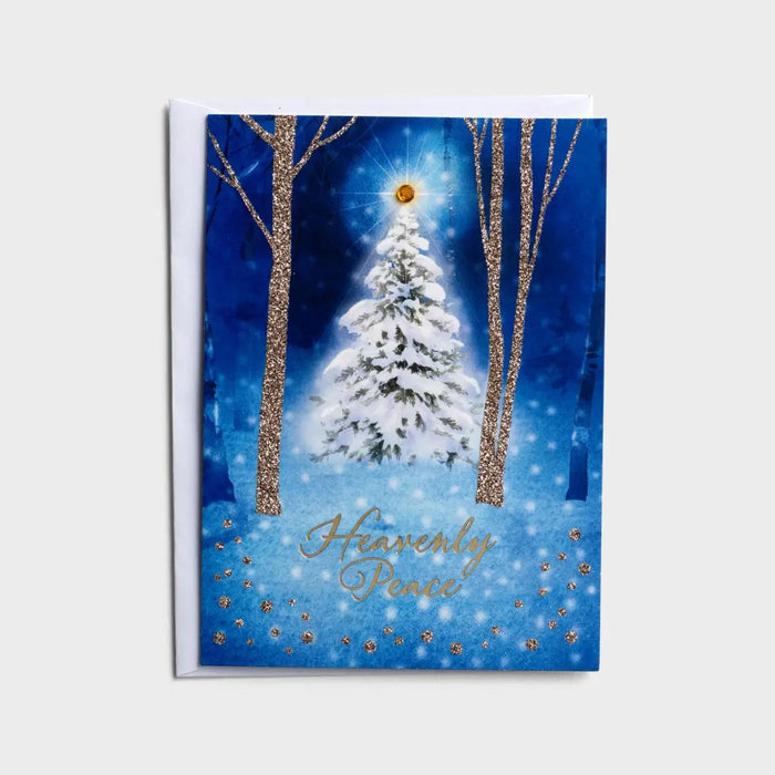 The Quiet Beauty of Christmas - 24 Assorted Christmas Boxed Cards and Envelopes
