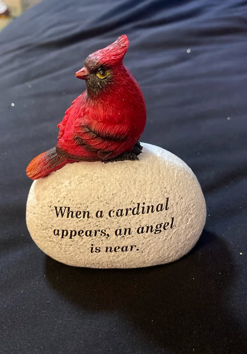 When a Cardinal appears, an angel is near. Cardinal on Stone