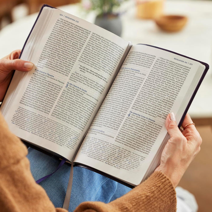 NET Bible, Large Print Thinline, Cross References, Brown Leathersoft, Comfort Print, (Thumb Indexed)