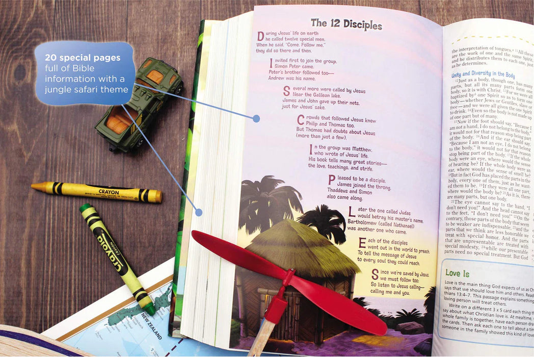 NIV Adventure Bible (Gray Leathersoft)
