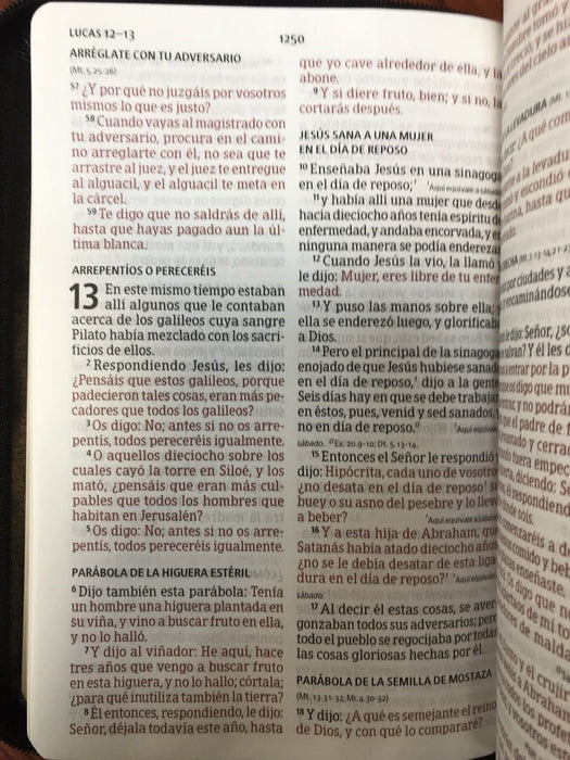 RVR 1960 BIBLIA LETRA GRANDE TAMANO MANUAL, NEGRO