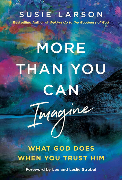 More Than You Can Imagine by Susie Larson