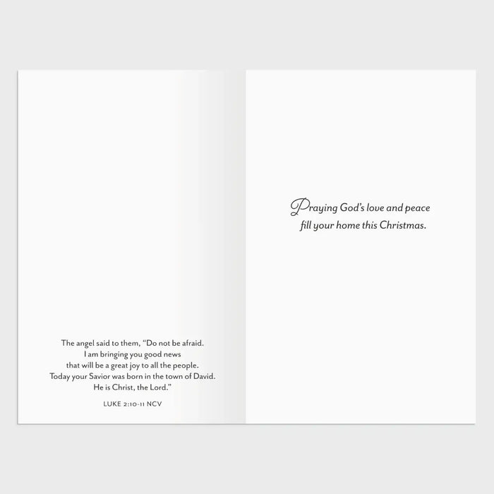 Max Lucado - The Story of Christmas - 18 Christmas Boxed Cards and Envelopes, NCV