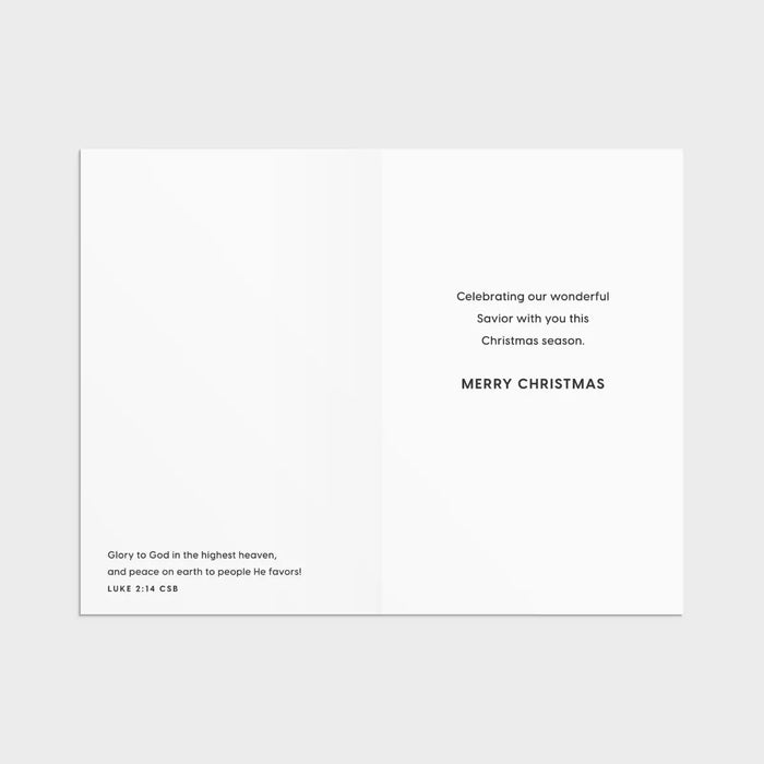 Tony Evans - Christ is the True Meaning - 18 Christmas Boxed Cards and Envelopes