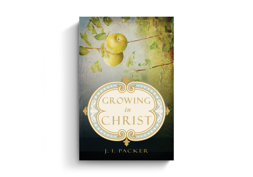 Growing in Christ by J I Packer
