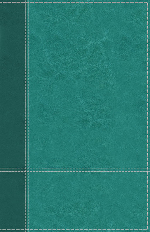 NIV, Personal Size Reference Bible, Thumb Indexed,