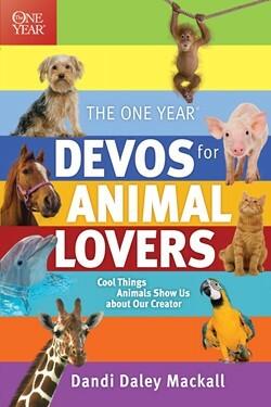 The One Year Devos for Animal Lovers by Dandi Daley Mackall