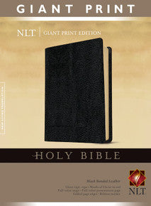 NLT Giant Print Bible